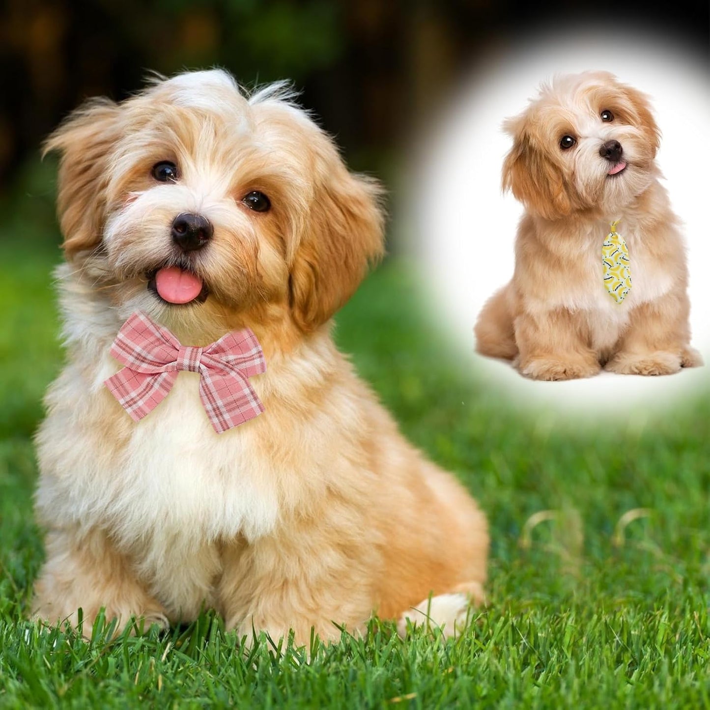 60 Pieces Dog Bow Tie Collars Dog Hair Bows Set Include 40 Small Dogs Hair Bows 10 Puppy Bowties 10 Collars Bow Adjustable Pet Ties Neck Grooming for Small Medium Pets Cats Accessories Supply
