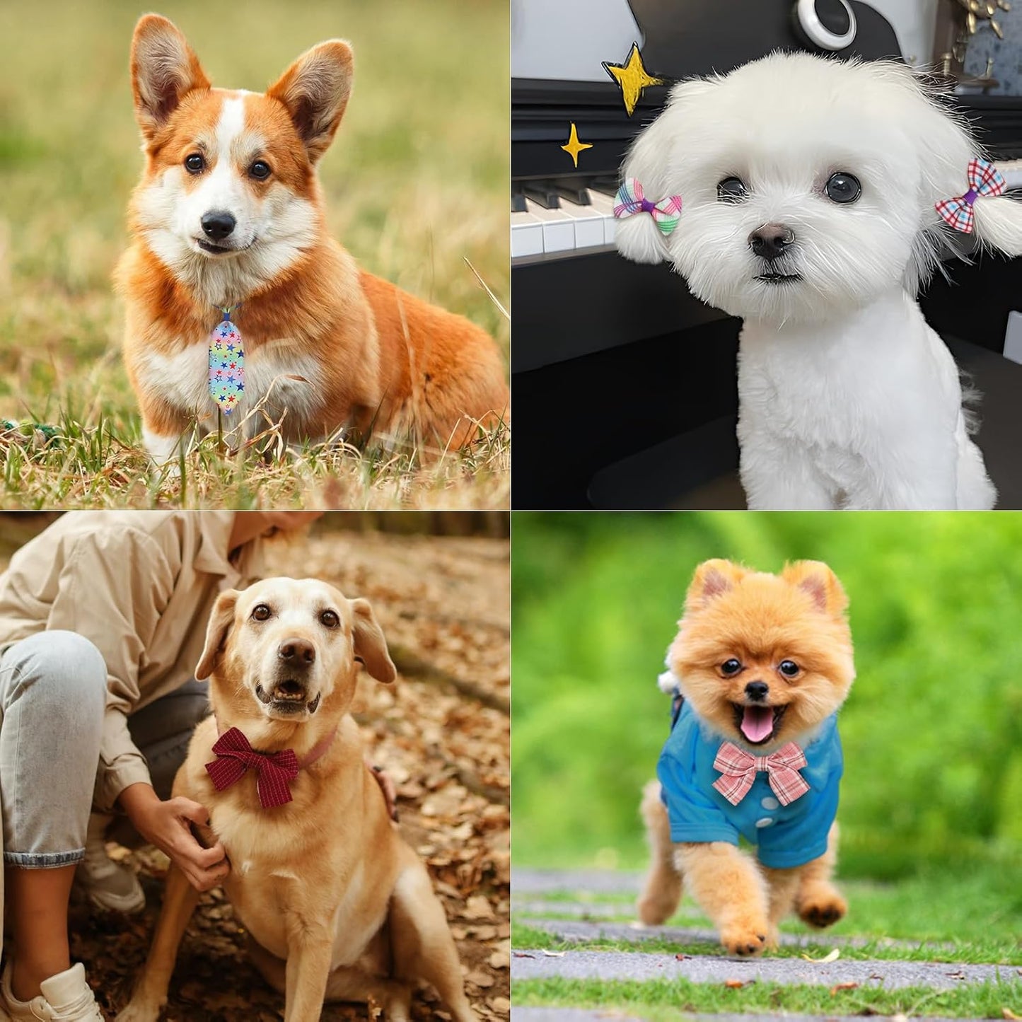 60 Pieces Dog Bow Tie Collars Dog Hair Bows Set Include 40 Small Dogs Hair Bows 10 Puppy Bowties 10 Collars Bow Adjustable Pet Ties Neck Grooming for Small Medium Pets Cats Accessories Supply