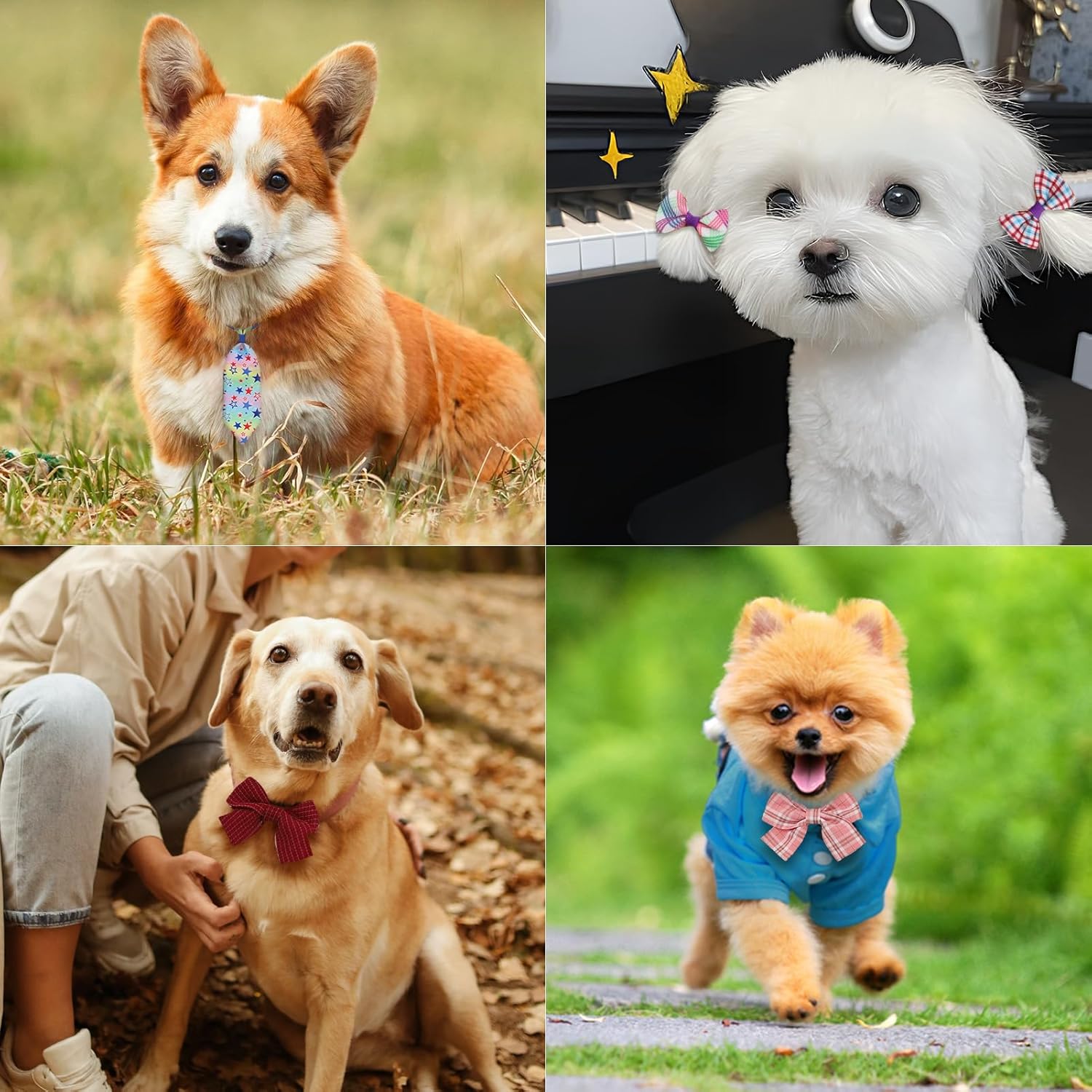 60 Pieces Dog Bow Tie Collars Dog Hair Bows Set Include 40 Small Dogs Hair Bows 10 Puppy Bowties 10 Collars Bow Adjustable Pet Ties Neck Grooming for Small Medium Pets Cats Accessories Supply